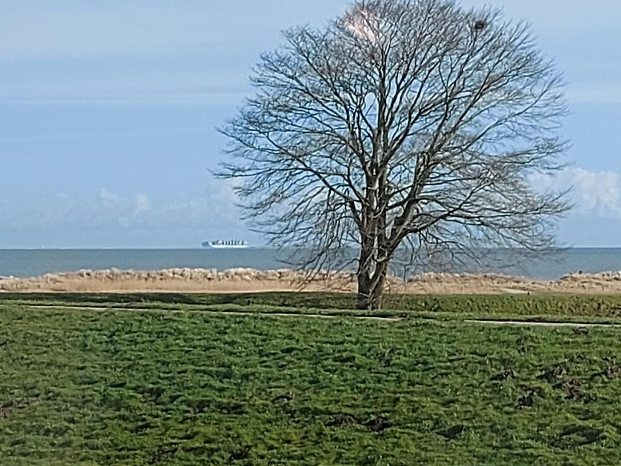 Ferienwohnung Reinsch Schillig Zewnętrze zdjęcie